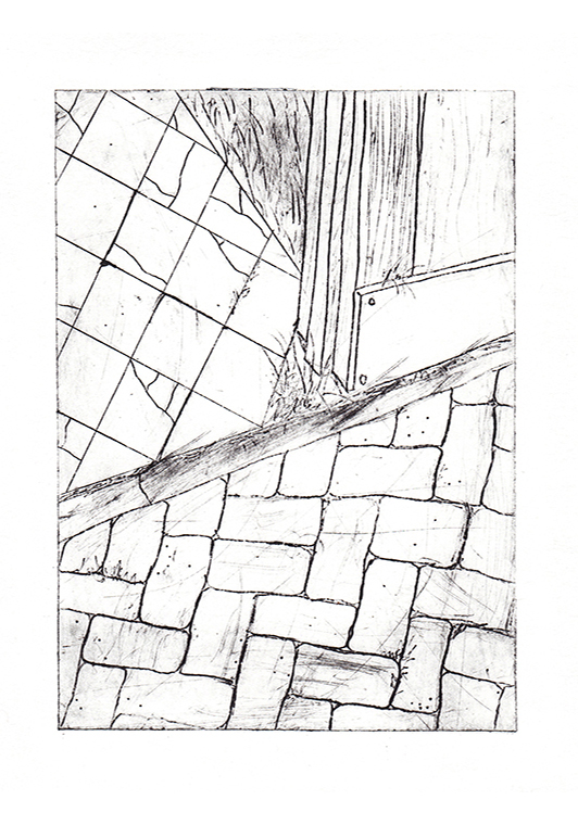 etching of suburban everyday bricks front drive garden path print